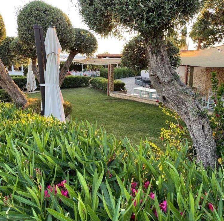 Villalessandra Civitavecchia Extérieur photo